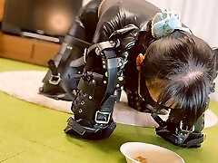 Electro-hitachi Play and Meal Time Electro-hitachi Play and Meal Time