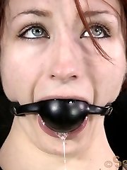 Everyone dungeon should have one. A bound and gagged pet just waiting to have all of her holes...
