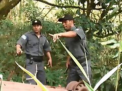 Jungle  4