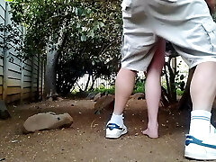 Tearing Up the neighbors wife in the garden