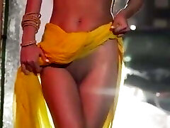 Poonam Pandey, naked dancing video