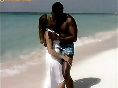 romantic plow on the beache