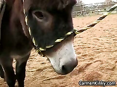 Dirty melons Carmen in radical gonzo part5 Dirty melons Carmen in radical gonzo part5