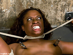 Monique in HogTied Welcome Sexy Milf Monique For Her First Hardcore Bondage Experience. - Tied Like A Hog