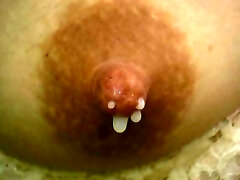 Closeup handsfree dripping Milkynipples, by Spyro1958 Closeup handsfree dripping Milkynipples, by Spyro1958