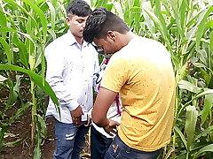 Indian Pooja Shemale Boyfrends Took A New Pals To Pooja Corn Field Today And Three Frends Had A Lot Of Joy In Sex