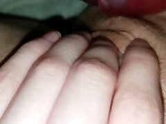 की कोशिश कर पाने के लिए मेरे में मेरे तंग बिल्ली