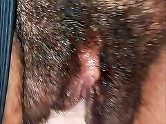 मशीन, विशाल, और तंग बिल्ली मशीन, विशाल, और तंग बिल्ली