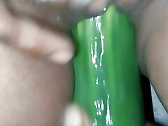 Bhabhi ne apni chut me Mota khira dalwaya Bhabhi ne apni chut me Mota khira dalwaya