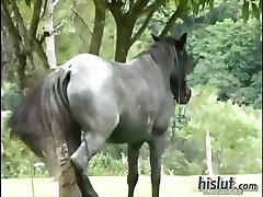 This dame made love This dame made love