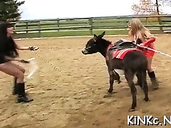 Superior-bitch smothers slave and tortures with electricity