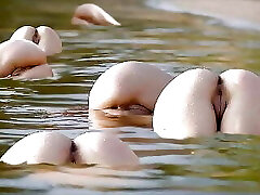 Videoclip - Steamy Asses 4