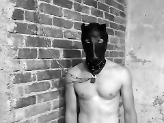 The Plaything Stables - TacAmateurs The Plaything Stables - TacAmateurs