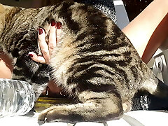 nippleringlover – geile milf ist nackt im freien, fickflasche, gepiercte muschi, große nippelringe in extrem gepierctem nippel nippleringlover – geile milf ist nackt im freien, fickflasche, gepiercte muschi, große nippelringe in extrem gepierctem nippel