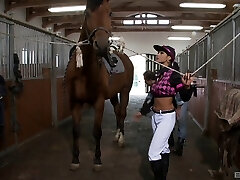 Brunette stunner rides a schlong cowgirl stance on the couch Brunette stunner rides a schlong cowgirl stance on the couch