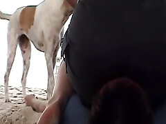 A wild German female sitting on her slaves's face at the beach A wild German female sitting on her slaves's face at the beach