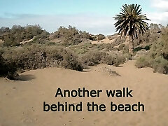 Another walk behind the beach