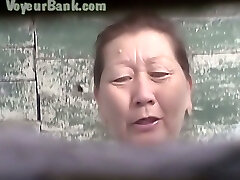 Hairy beaver of a mature Asian lady in the public toilet guest room