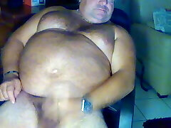 Big belly bear Big belly bear