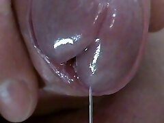 Spitting Pre-Cum from Uncut Cock, Extraordinary Close-Up