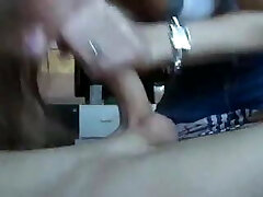 homemade swallow 1845