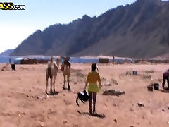 Tourists wished to have some extreme during their vacation