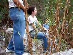 in het bos in het bos