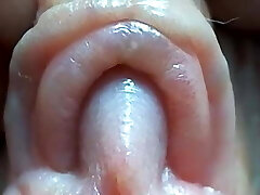 Clitoris close-up