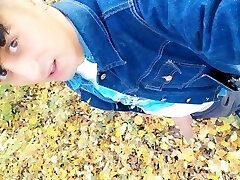 Autumn urinating on dry leaves in a park
