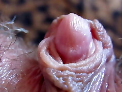 Extreme Close-Up On My Massive Clit