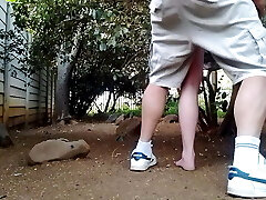 Humping the neighbors wife in the garden