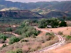 Corporate asset 1985 Corporate asset 1985