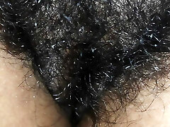 тамильская волосатая киска