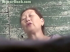 Hairy snatch of a mature Asian lady in the public toilet room