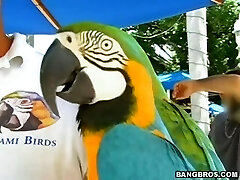 кармелла бинг [720] - большая жопа мама милф