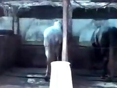 Lesbians In The Garden Lesbians In The Garden