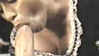 Hot Maid Loves Sucking On A Big Cock Intensively