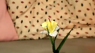 My Wifes Mommy - Home party goes very very bad