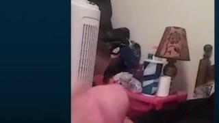 thuyfghgfh gvnvbjvghfg ghcfhcfgh fghfgchrtfv bfchfgdvbcvbcfgfdgfcvgdrtwtert