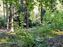 conejito follada en el bosque