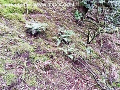 सैडी एक्स-जंगल में खोई हुई लड़की एक अजनबी को हैंडजॉब देती है, प्रकृति में पेशाब करने वाली लड़की, जंगल में पेशाब करने वाली, आउटडोर हैंडजॉब, शौकिया सेक्स । चिका पेर्डिडा एन एल बोस्क हेस ऊना पजा ए अन एक्स्ट्रानो चिका मियांडो 10 मिन