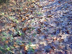 Nackt spazieren im Wald group sexed goth mom walk in the woods