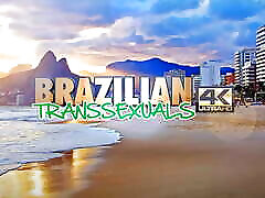 BRAZILIAN TRANSSEXUALS: Enjoy Mature Transsexual Francine Macedo