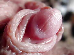 شدید نزدیک تپش بزرگ Clitoris کامل تصویری