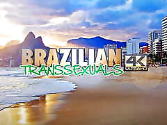 BRAZILIAN TRANSSEXUALS - Naomi Thompson Wants To Meet You