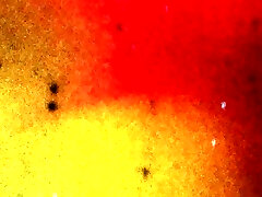 BLACK TGIRLS Model of the Month Bambii