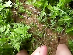 In the Forest. In the Forest.