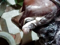 Chubby bengali gay bath Chubby bengali gay bath