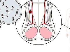 The male mother withe boy explained