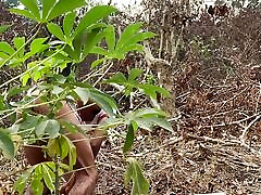 Standby Camera on Outdoor Scene